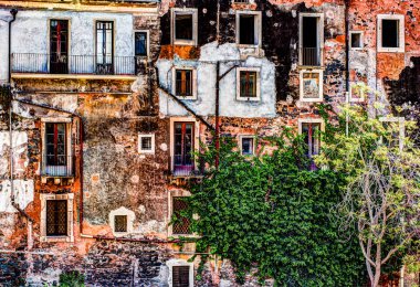 Kırmızı eski tuğla duvar ile windows ve yeşil sarmaşık