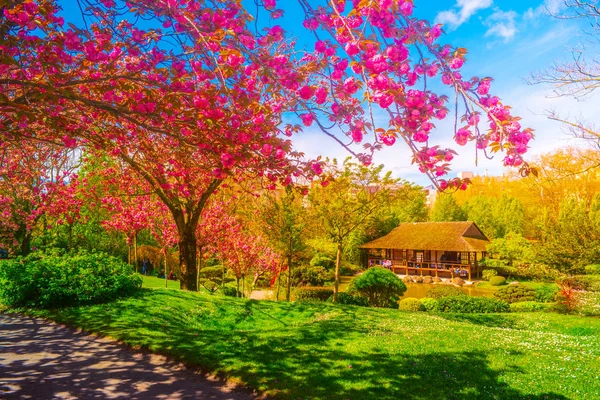 Jardim japonês no parque da cidade de Toulouse, França — Fotografia de Stock