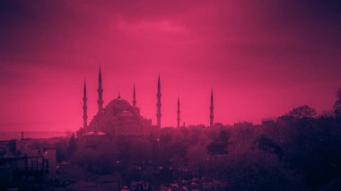 İstanbul'un Eski Şehir'inde ağaçlarla çevrili Sultan Ahmet Camii'nin havadan çekilmiş fotoğrafı - Sultanahmet, İstanbul, Türkiye
