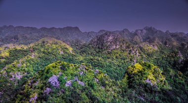 Kayalar ve kedi Ba Adası Vietnam Dağlarına. Panoramik manzara. Vietnam.
