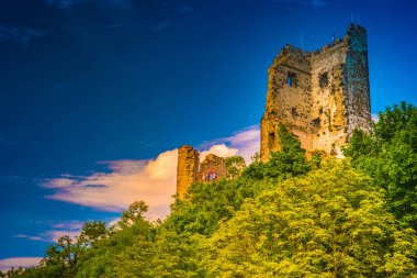 Drachenfels Konigswinter Rheine Siebengebirge Almanya ünlü harabe