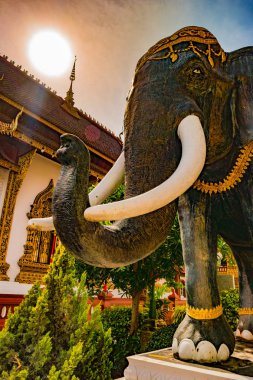 Budist tapınağı Chiang Mai, Tayland