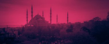 İstanbul'un Eski Şehir'inde ağaçlarla çevrili Sultan Ahmet Camii'nin havadan çekilmiş fotoğrafı - Sultanahmet, İstanbul, Türkiye