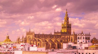 Çatıların havadan görünümü ve Sevilla Katedrali, Endülüs, İspanya