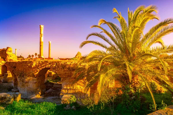 Vista com restos antigos de Cartago e paisagem. Tunis, Tunísia . — Fotografia de Stock