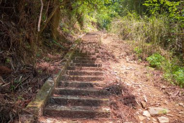 Bu basamaklar bu dağın tepesindeki büyük bir heykele çıkıyor.