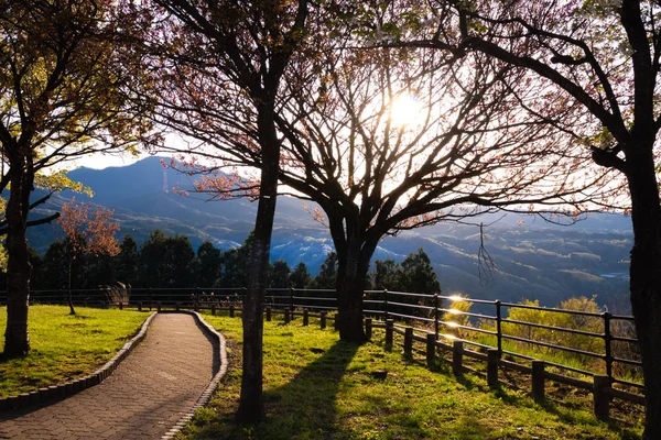 Parkta Yürümek Huzur Huzur Getirir Numazu City Japonya — Stok fotoğraf