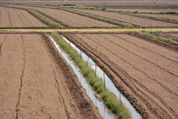 Arroser Champ Dans Plaine Fertile Grenade — Photo