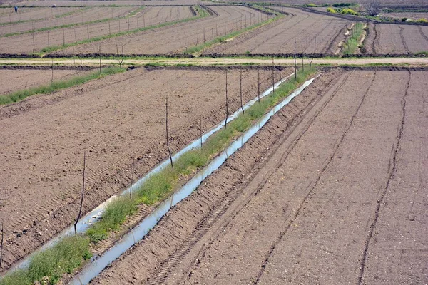 Riego Del Campo Fértil Llanura Granada — Foto de Stock