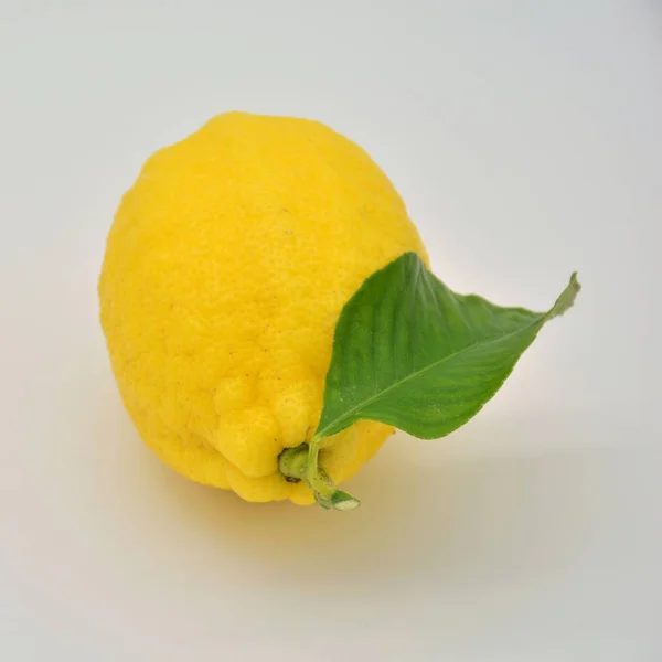 Fresh Lemon Freshly Cut — Stock Photo, Image