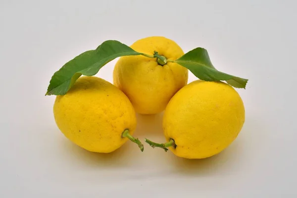 Set Freshly Cut Lemons — Stock Photo, Image