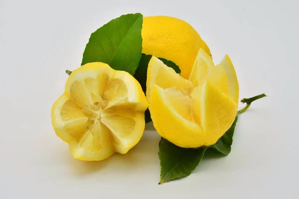 Lemons Cut Flower Shape — Stock Photo, Image