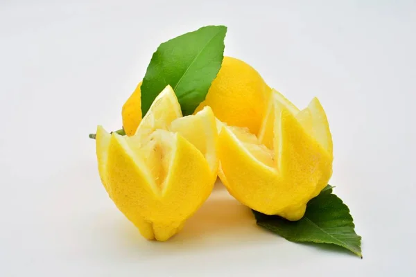 Lemons split with an original cut, tooth shape