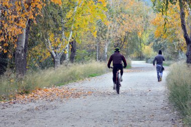 Sonbahar kırsalında sessiz yürür