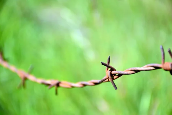 Arame Farpado Uma Cerca Arame Campo — Fotografia de Stock