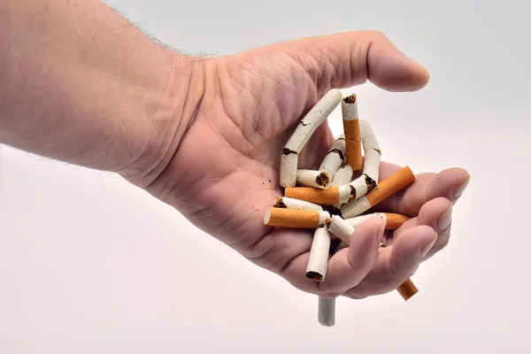 Hand Innehav Och Krossning Handfull Tobak Och Trasiga Cigaretter — Stockfoto