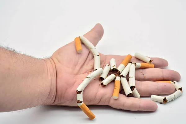 Рука Тримає Подрібнює Кілька Тютюну Зламані Сигарети — стокове фото