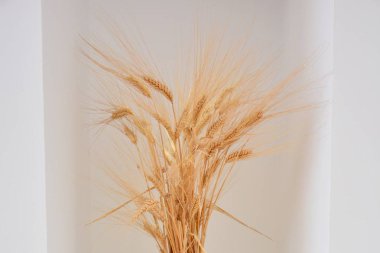 Antik bir vazoda buğday kulakları