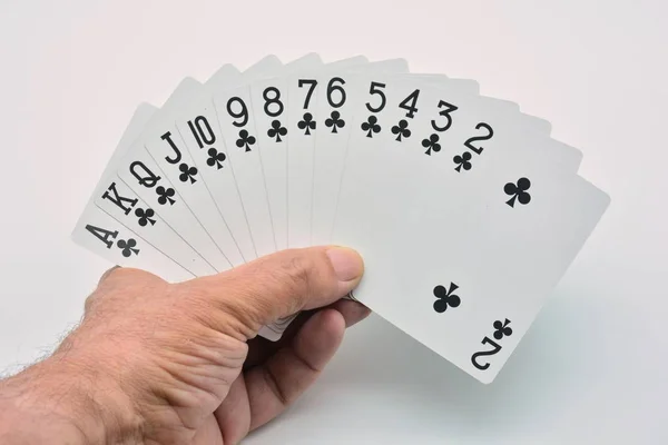 Hand holding all the cards of clubs of a French deck