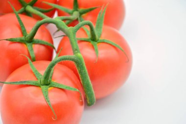 Taze kesilmiş kırmızı domates Dalı