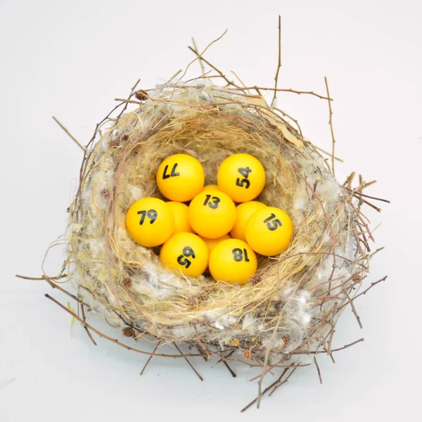 Lotteri Bollar Ett Natur Fågelbo — Stockfoto