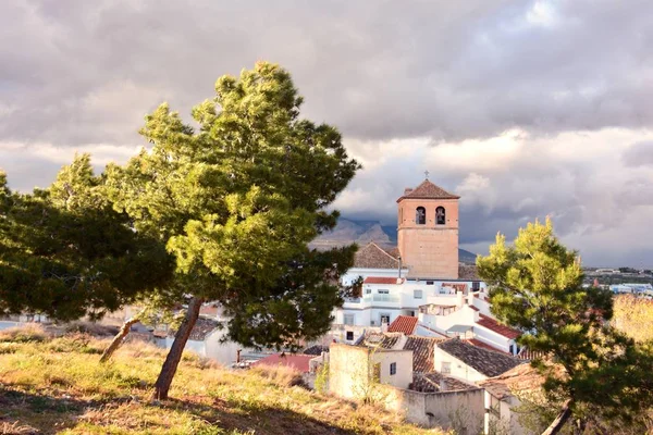 Vistas Torre Iglesia Merced Baza Granada España — Foto de Stock