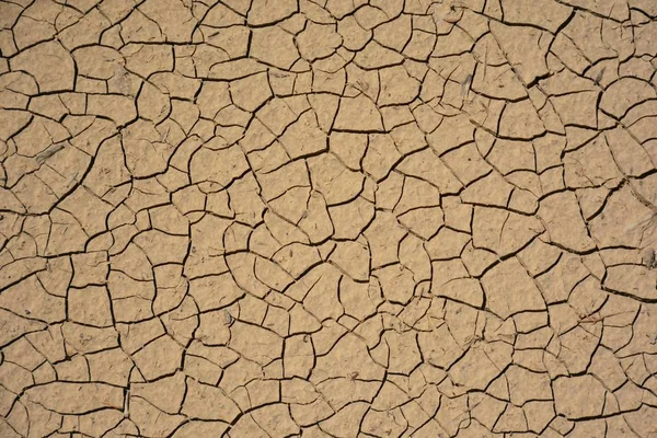 Tierra Agrietada Debido Sequía — Foto de Stock