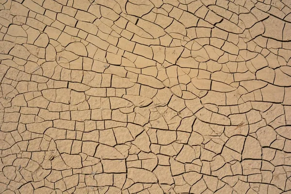 가뭄으로 갈라진 — 스톡 사진