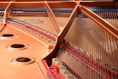 İç ve bir kuyruklu piyano dizeleri