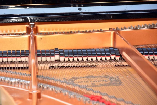 Interior Strings Grand Piano — Stock Photo, Image