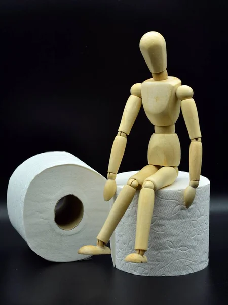 Tahta Manken Tuvalet Kağıdı Rulosunun Üzerinde Oturuyor — Stok fotoğraf