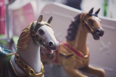 Beyaz ve kahverengi Carousel Horses adlı gece portre