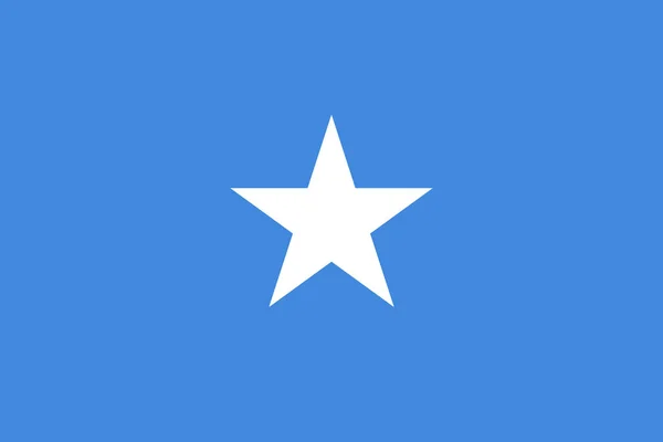 Resmi Büyük Düz Somali Bayrağı Yatay — Stok fotoğraf