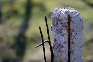 Eski taş sütun parçası Hi söylüyor. Eski taş sütun parçası sana merhaba diyor.