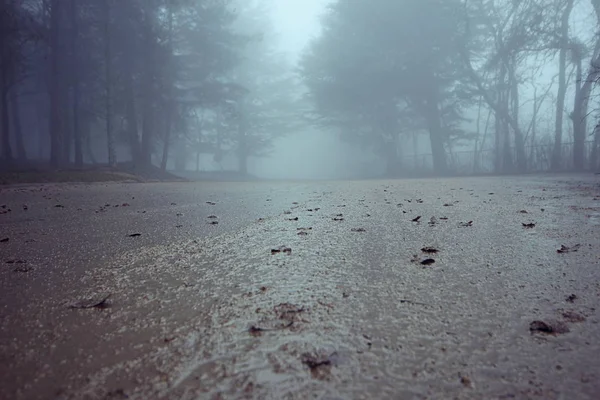 Fog Always Looks Mystical Very Atmospheric — Stock Photo, Image