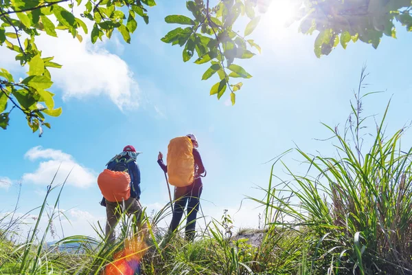 Путешествия Два Рюкзака Стоящие Вершине Горы Ожидании Голубого Неба Солнечный — стоковое фото