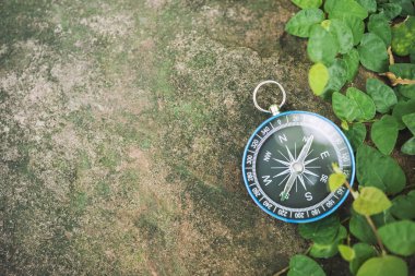 Seyahat arka plan, su ile doğada yaprak ile yere pusula