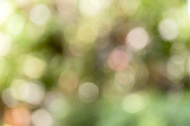 Doğa üzerindeki yeşil bokeh. Sanat soyut bulanık arkaplan..
