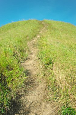 Sırt mavi gökyüzüne karşı yeşil çimenlerle kaplıydı. Bahar 