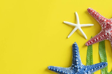 Boş alan ile sarı arka plan üzerinde renkli denizyıldızları. Seyahat