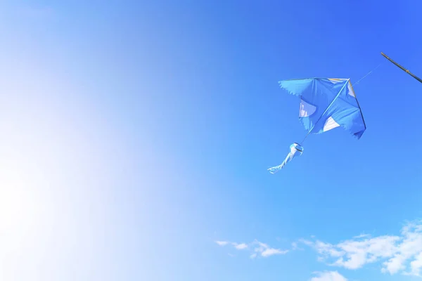 Uçurtma ücretsiz kopya alanı ile mavi gökyüzünde uçan. Özgürlük yaşam ve e — Stok fotoğraf