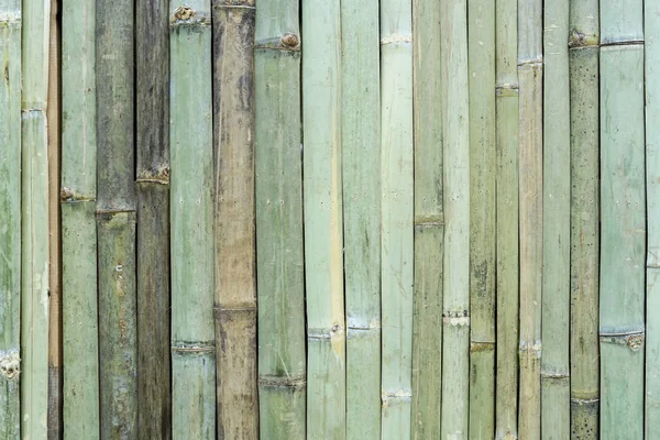 Abstrakter Hintergrund aus grünem Bambusmuster an der Wand. — Stockfoto