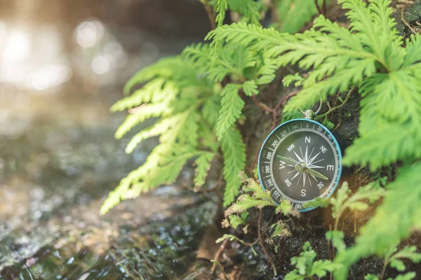 Compass put on the rock with green plant near waterfall with sun Stock Picture