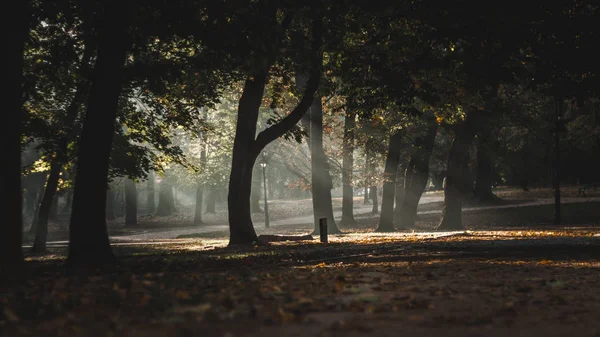  Parktaki ara sokak