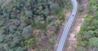 Orman yolu dron seyahat kırsal macera ağaç yavaş sonbahar doğa doğal güneş ışığı ile araba araba hava atış