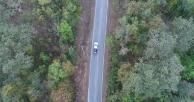 Orman yolu dron seyahat kırsal macera ağaç yavaş sonbahar doğa doğal güneş ışığı ile araba araba hava atış