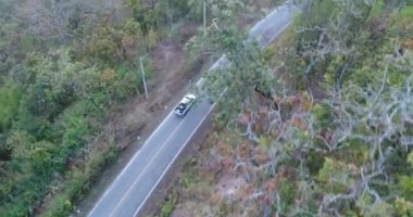 Orman yolu dron seyahat kırsal macera ağaç yavaş sonbahar doğa doğal güneş ışığı ile araba araba hava atış