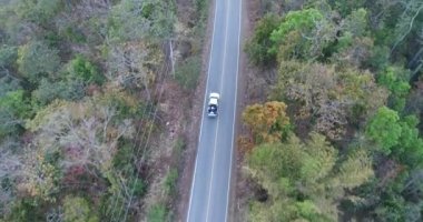 Orman yolu dron seyahat kırsal macera ağaç yavaş sonbahar doğa doğal güneş ışığı ile araba araba hava atış