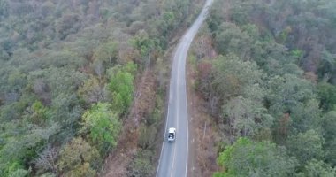 Orman yolu dron seyahat kırsal macera ağaç yavaş sonbahar doğa doğal güneş ışığı ile araba araba hava atış