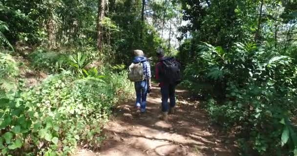 年轻的漫步在森林愉快地与金子步行 — 图库视频影像
